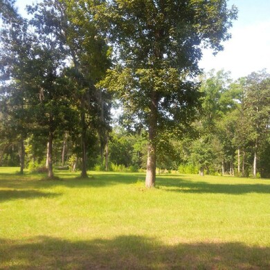 open field.jpg