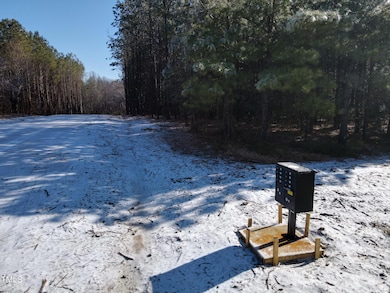 dji_fly_20250111_111558_538_173661216611