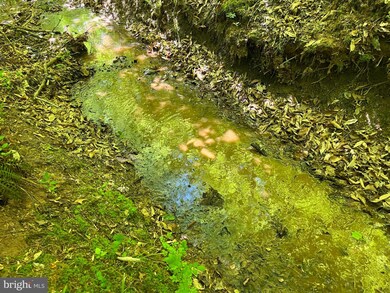 0 Harris Creek Rd unit VAAB2000634, Charlottesville, VA 22902 - photo 4