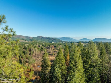 NKA Idaho 57, Priest River, ID 83856 - photo 4