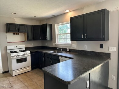 122 Pine Hollow Cir, Chardon, OH 44024 - photo 4