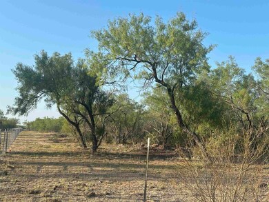 992 Jordan Rd unit 992 Jordan Rd Tract, Encinal, TX 78019 - photo 5