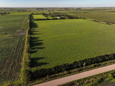 TBD 20th Rd, Central City, NE 68826 - photo 4