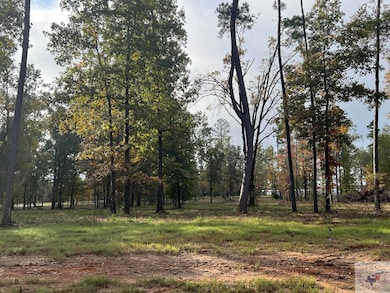 6200 River Birch Way, Texarkana, AR 71854 - photo 7