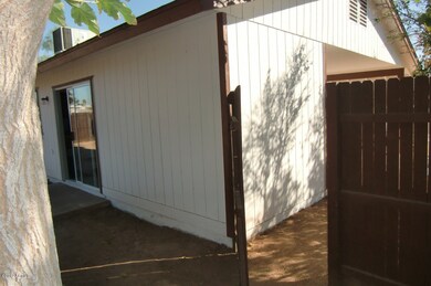 New Side Gate-Rear Mulberry Tree