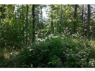 9789 Dow Rd, Freedom, NY 14065 - photo 3