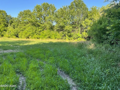 000 3rd St, Sarcoxie, MO 64862 - photo 2