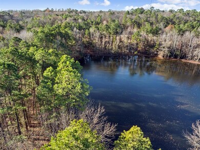 2 Big Pines, Broken Bow, OK 74728 - photo 3