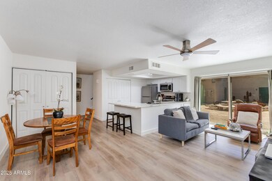 kitchen and living room