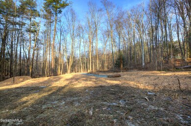 13RattlesnakeMtnRd_17