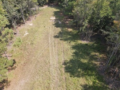 County Road 332 unit LotWP003, Wilmar, AR 71675 - photo 7