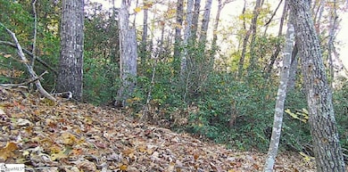 0 Eastview Dr, Pickens, SC 29671 - photo 6