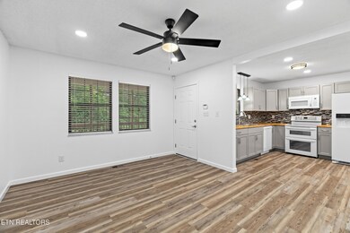 006-321AileyRoad-Dandridge-TN-37725-FULL