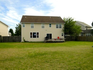 Backyard3
