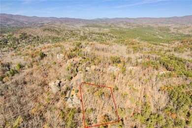 3356 Bee Balm Way, Big Canoe, GA 30148 - photo 4