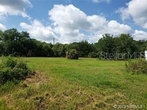 618 Ingham Rd, New Smyrna Beach, FL 32168 - photo 5