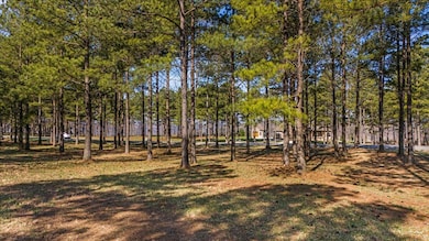 950 Cumberland Cir, Jasper, TN 37347 - photo 5