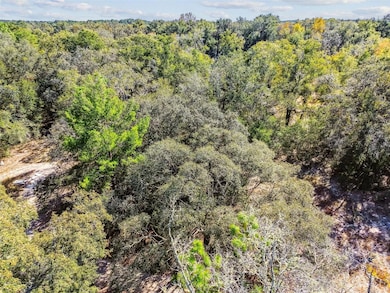 2903 Tyler St, Inverness, FL 34453 - photo 7