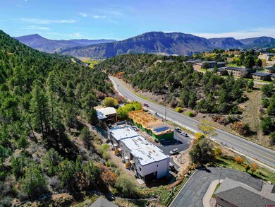 760 Goeglein Gulch Rd unit 1, Durango, CO 81301 - photo 4