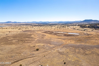 Show Low Pines Unit 5 Lot 320 -- unit 320, Concho, AZ 85924 - photo 3