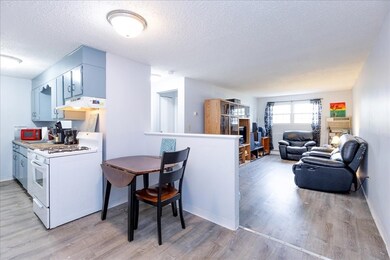 381 Hildreth St unit 106, Lowell, MA 01850 - photo 3