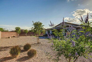 Backyard 4