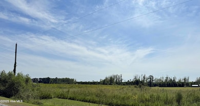 1 Lloyd Corey Rd, Robersonville, NC 27871 - photo 6