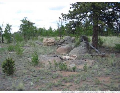 364 Yellowstone Rd, Hartsel, CO 80449 - photo 5