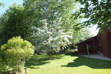 1043 E 10th backyard 2