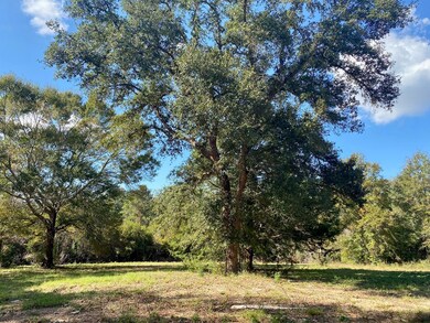 137 Old Creek Rd, Picayune, MS 39466 - photo 6