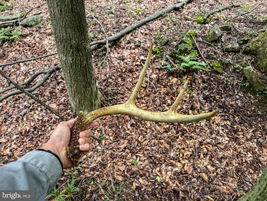 0 Laurel Dale Rd, New Creek, WV 26743 - photo 6