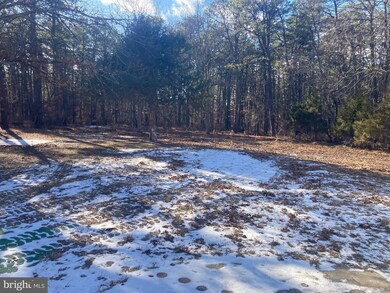 8 N Whites Bogs Rd, Browns Mills, NJ 08015 - photo 4