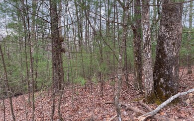Additional View