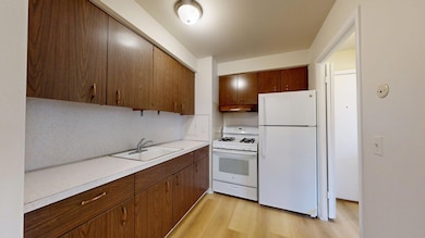 1257 Island Dr unit 203, Ann Arbor, MI 48105 - photo 3