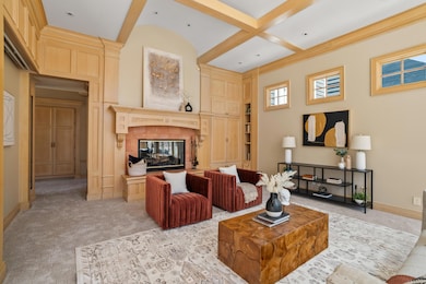 Natural Fireplace