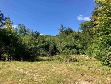 0 County Rd unit Map 2 Lot 5 4720056, Hillsborough, NH 03244 - photo 4