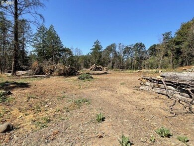 23155 N Fork (-23155) Rd SE, Lyons, OR 97358 - photo 4