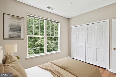 5002 Willow Branch Way unit 302, Owings Mills, MD 21117 - photo 5