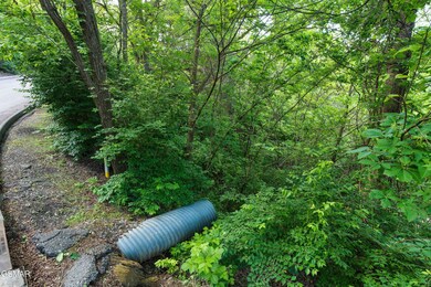 Lot 115 Alpine Mountain Way, Pigeon Forge, TN 37863 - photo 2