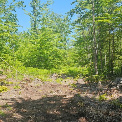 18B Isaac Stevens Rd, Bridgton, ME 04009 - photo 4