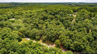 181 Tomhawk Ln, Spavinaw, OK 74366 - photo 3