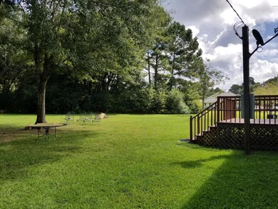 Backyard & Deck