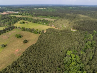 5760 Cobbham Rd, Appling, GA 30802 - photo 4