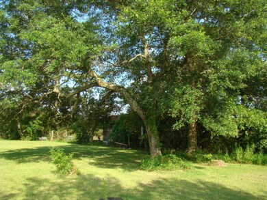 Back yard View