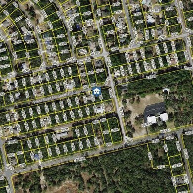 1504 W Saint Elizabeth Place, Citrus Springs, FL 34434 - photo 6