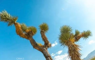 10 171st St E, Palmdale, CA 93591 - photo 3