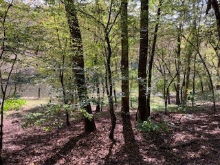 LT 2486 Novena Ct, Ellijay, GA 30540 - photo 7