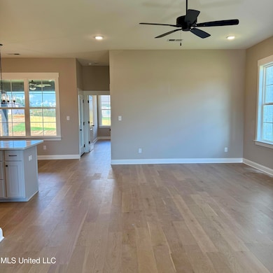 768 Coahoma Ct, Hernando, MS 38651 - photo 6