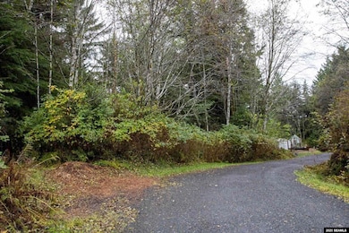 16000 BLK N Tongass Hwy unit Tract F 16000 BLK N, Ketchikan, AK 99901 - photo 7