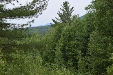 DSC_0051